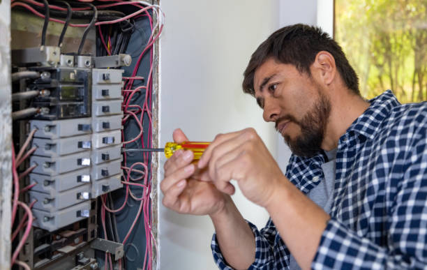 Best Ceiling Fan Installation Electrician  in Jones Valley, CA